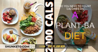 Plant-Based Diet: Calorie Counting Necessary?