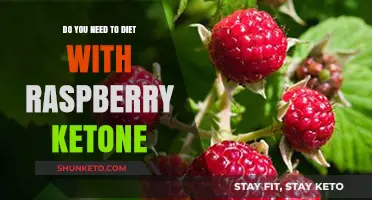Raspberry Ketone: Dieting's Magic Bullet?