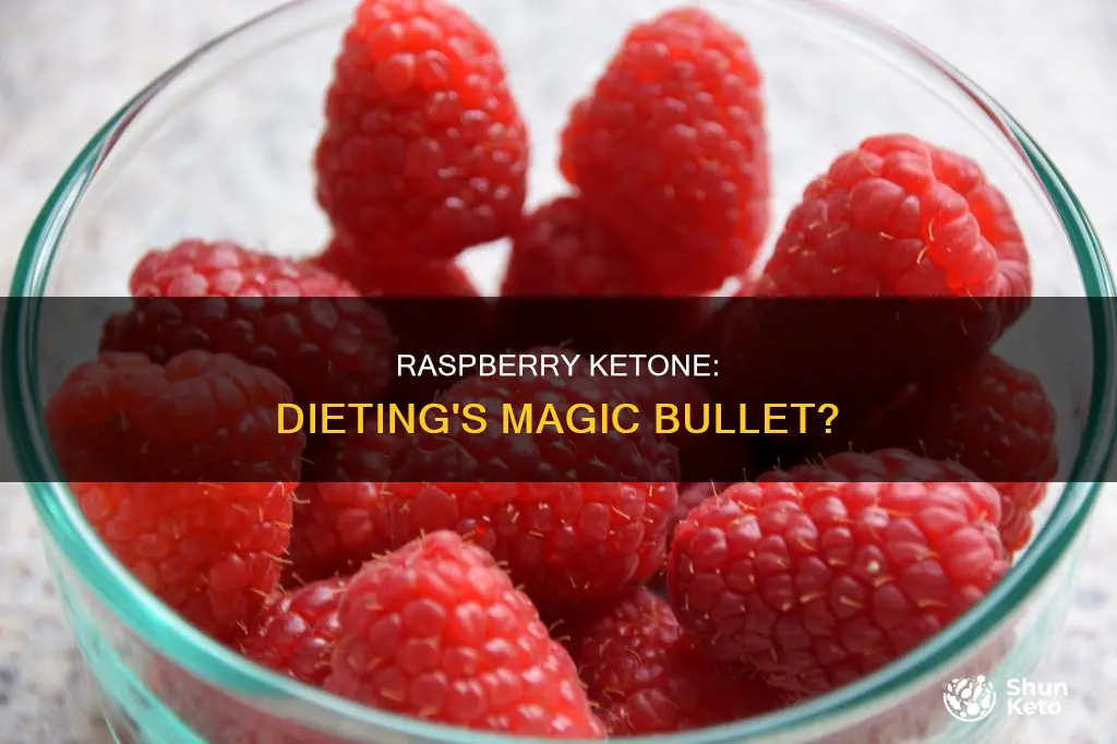 do you need to diet with raspberry ketone