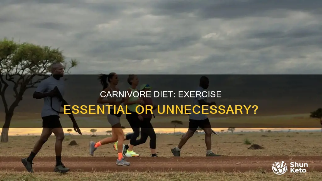 do you need to exercise on carnivore diet