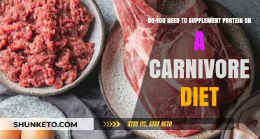 Carnivore Diet: Should You Add Protein Supplements?