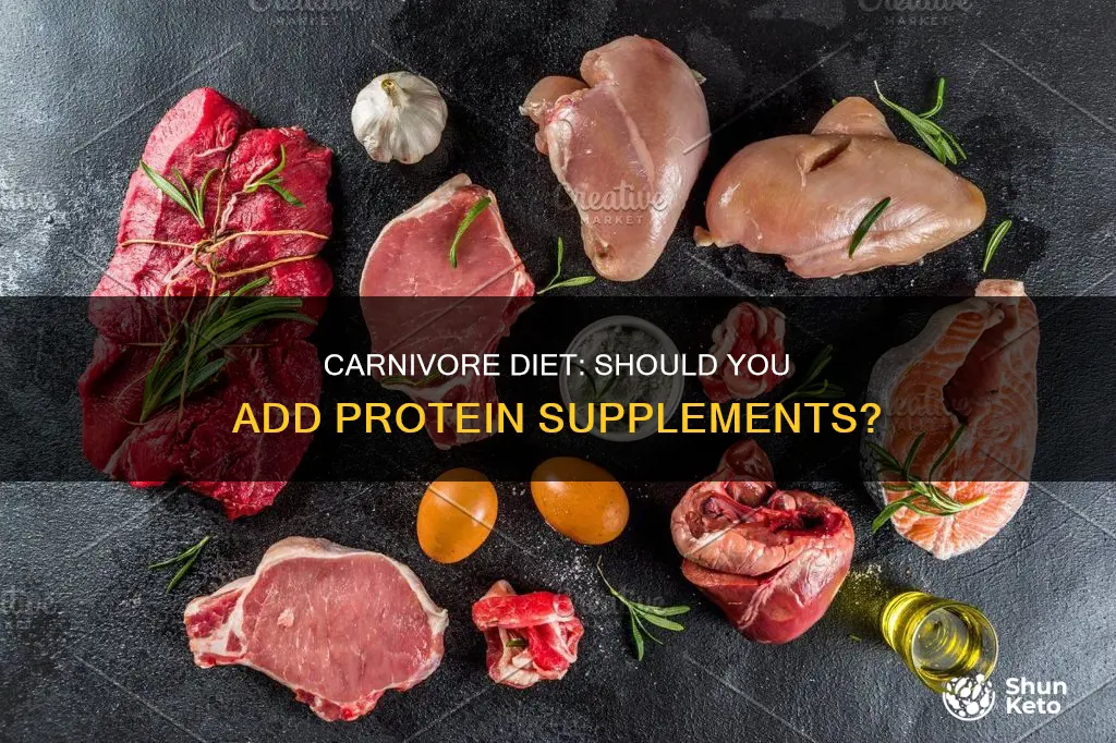 do you need to supplement protein on a carnivore diet