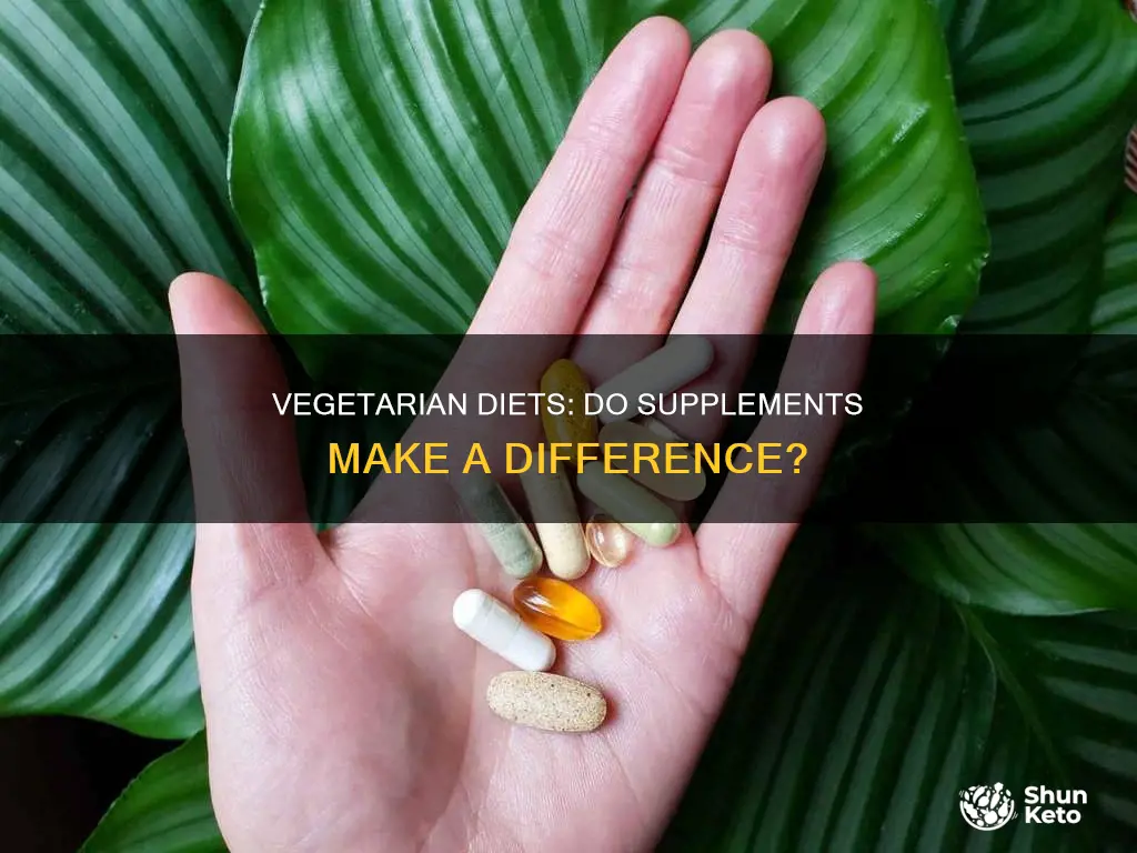 do you need to take supplements during a vegetarin diet