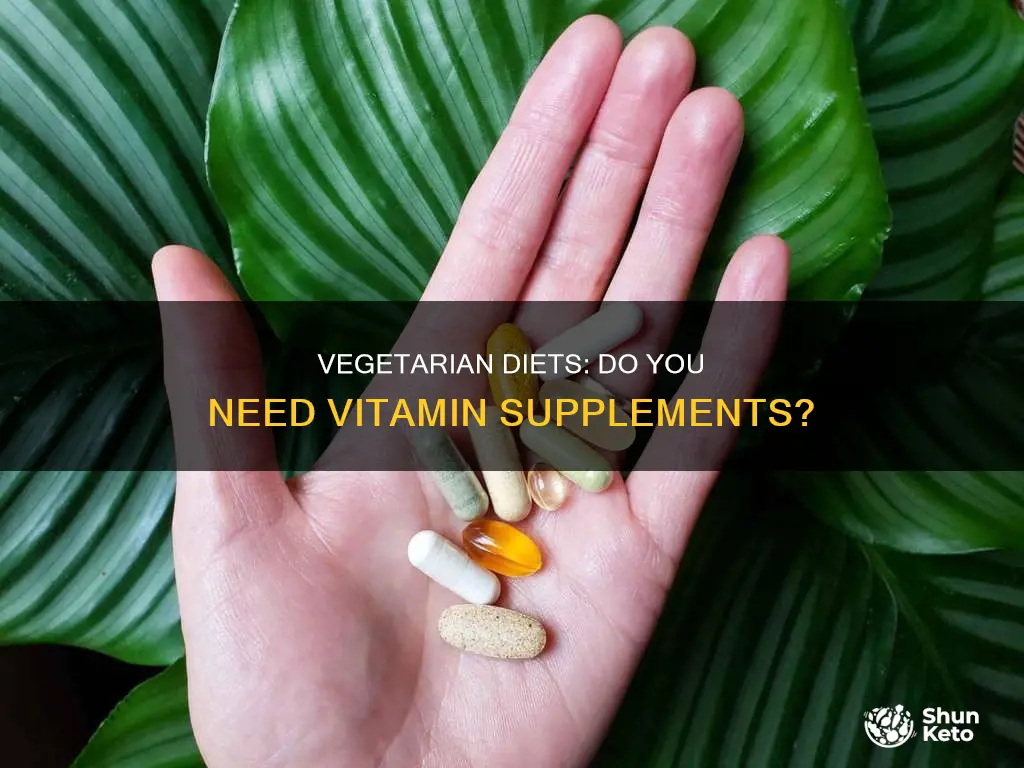do you need vitamins on a vegetarian diet
