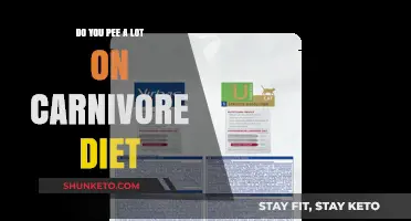 Carnivore Diet: Increased Urination and Why It Happens