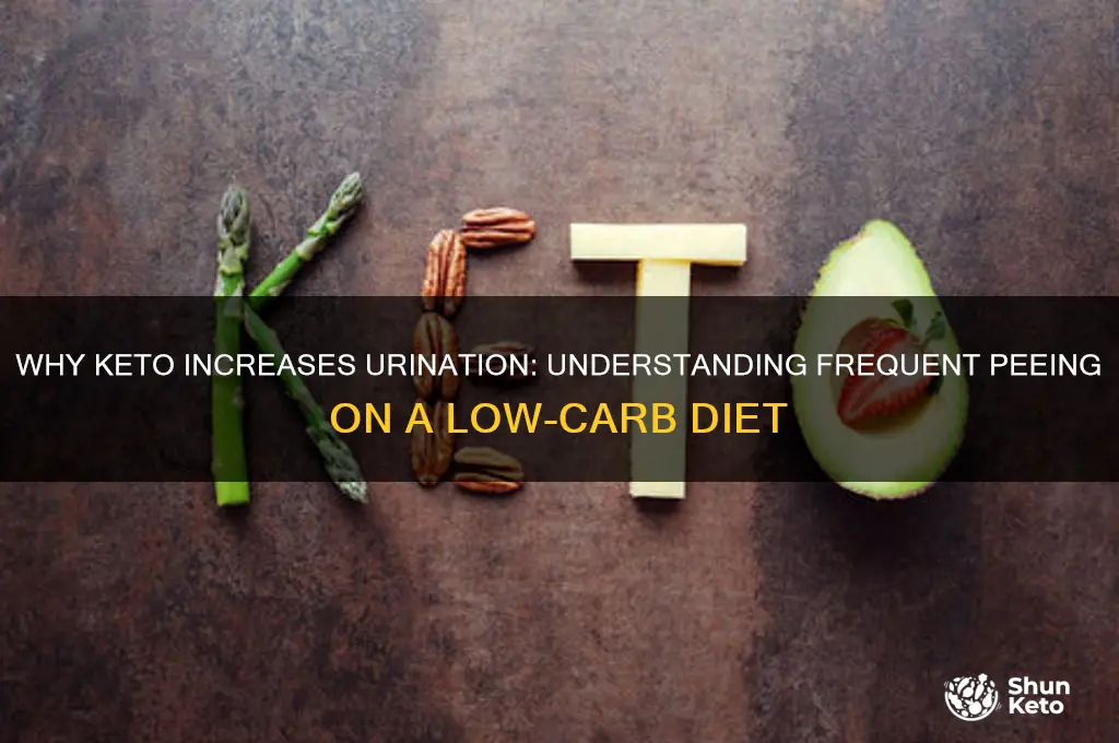 do you pee a lot on keto
