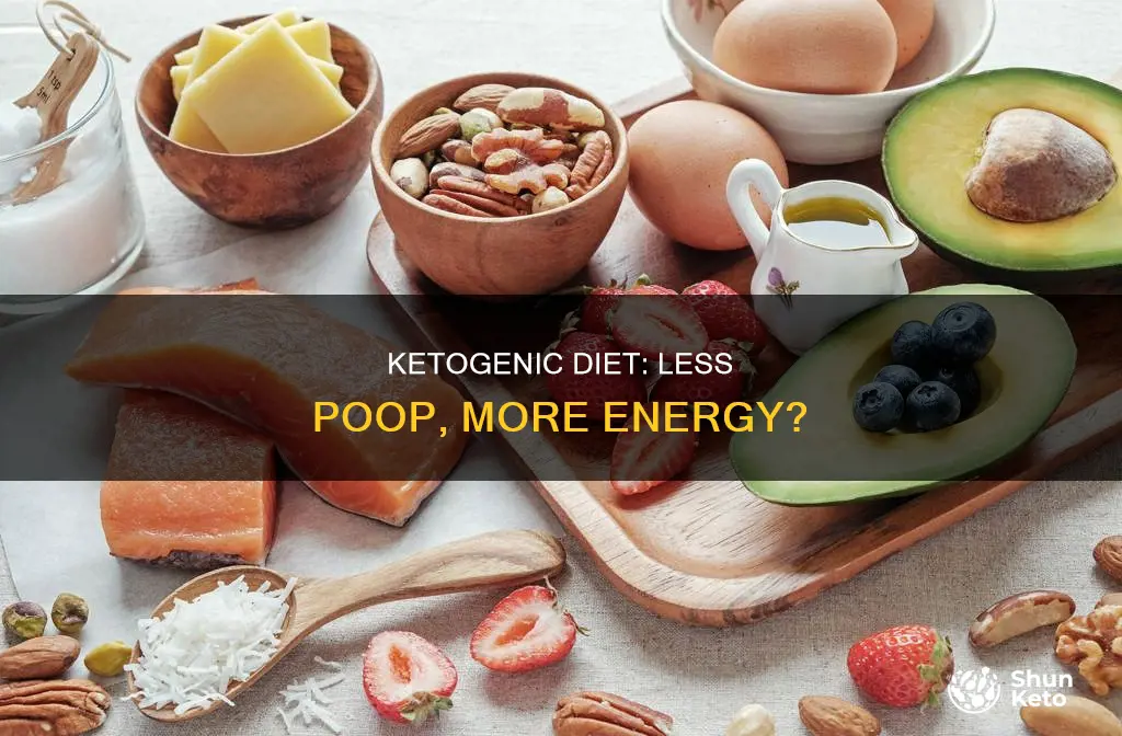 do you poop less on a ketogenic diet