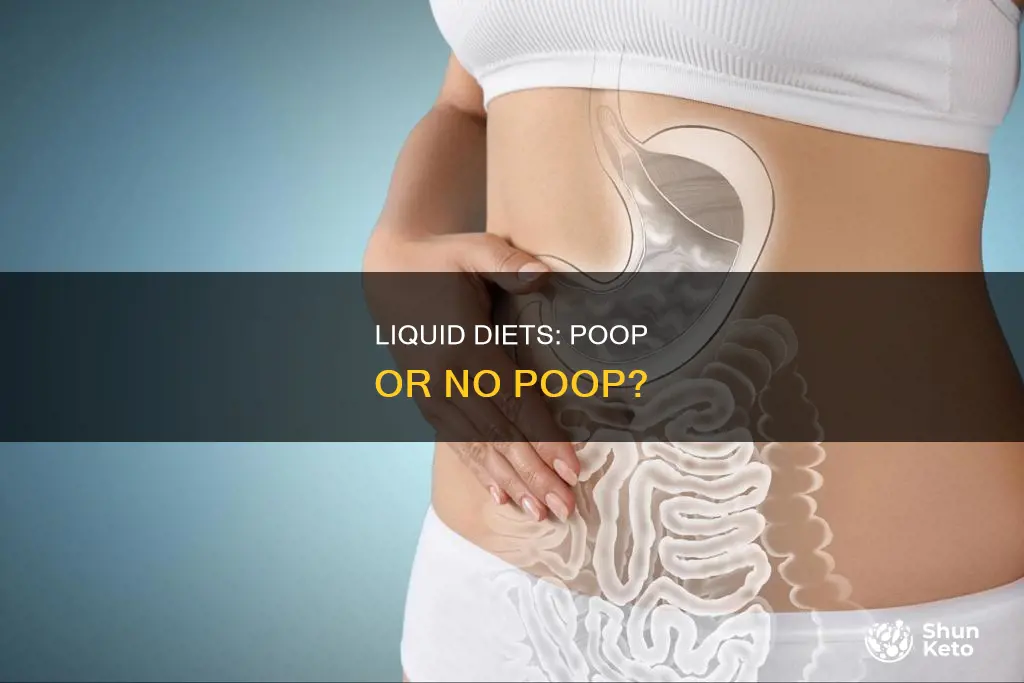 do you poop on a liquid diet