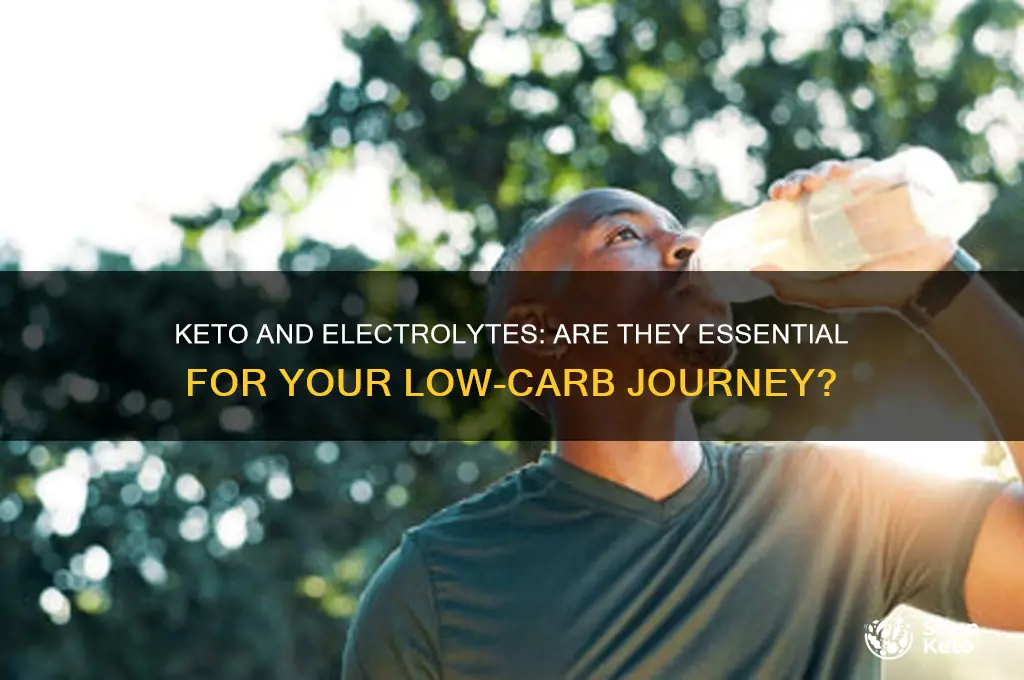 do you really need electrolytes while on keto diet