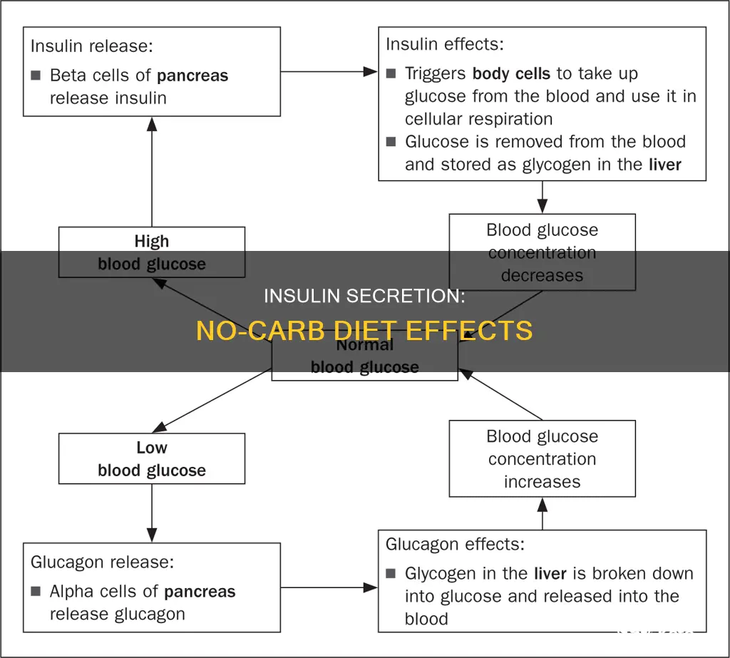 do you secrete insulin on a no carb diet