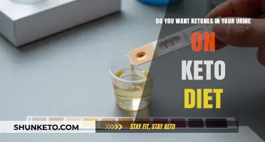 Ketones in Urine on Keto: What It Means and Why It Matters
