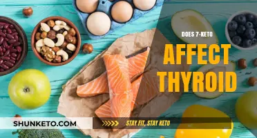 Exploring 7-Keto's Impact on Thyroid Function and Hormonal Balance