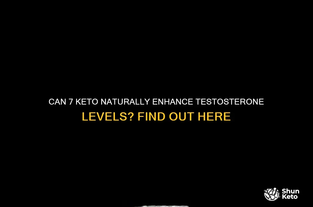 does 7 keto boost testosterone