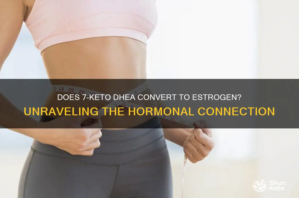 does 7 keto dhea convert to estrogen
