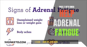 Keto DHEA's Impact on Adrenal Fatigue: What You Need to Know