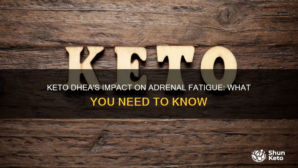 does 7 keto dhea help adrenal fatigue