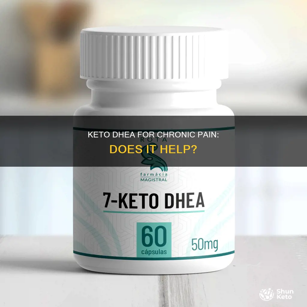 does 7 keto dhea help w chronic pain