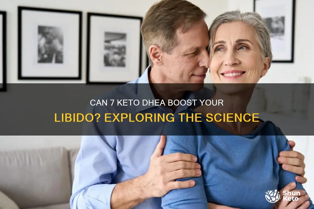 does 7 keto dhea increase libido