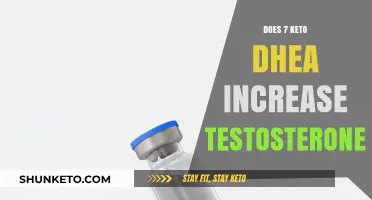 Can 7 Keto DHEA Boost Testosterone Levels? Exploring the Science