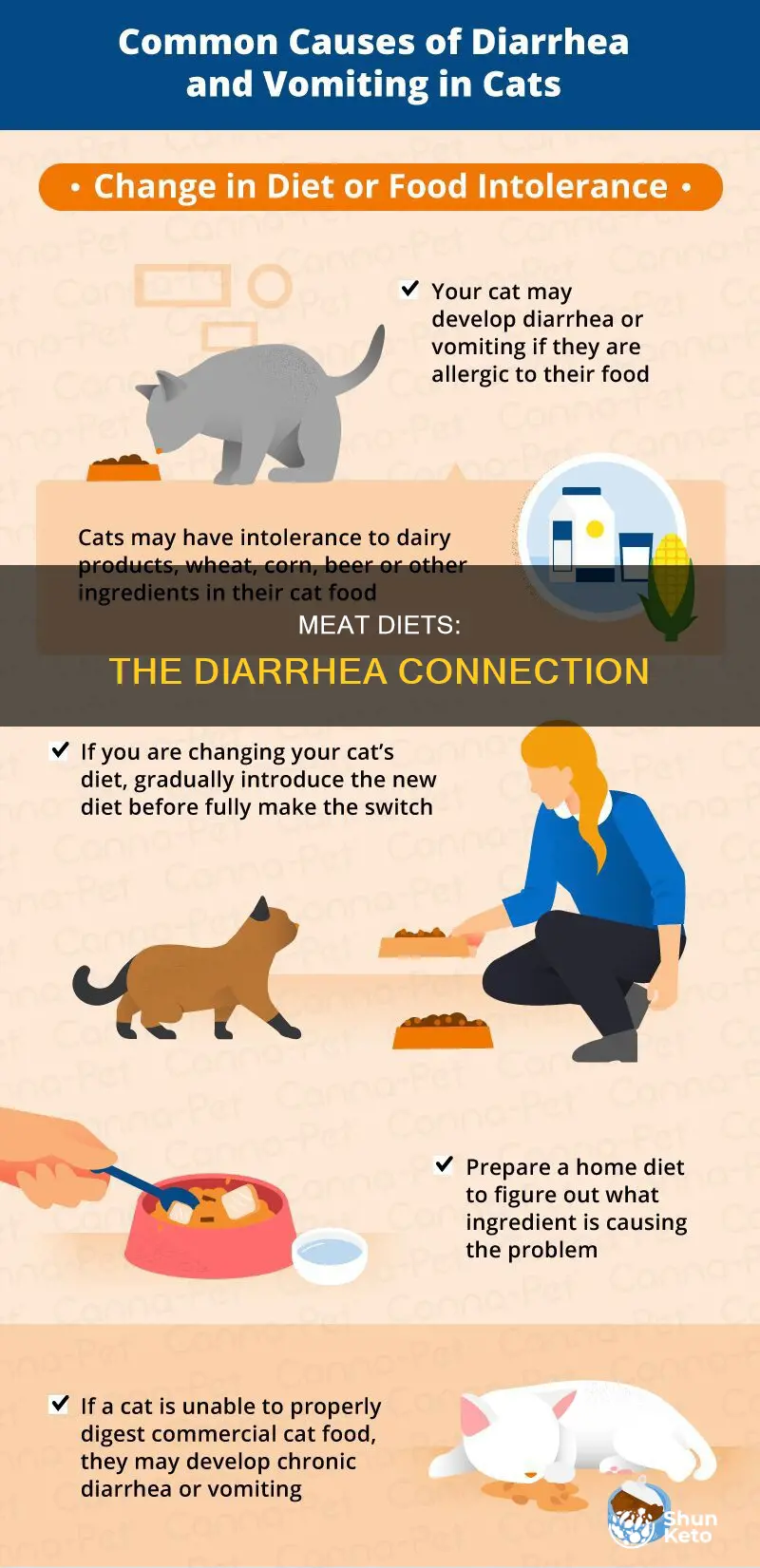 does a all meat diet cause diarrhea