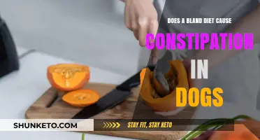 Bland Diet and Dog Constipation: What's the Link?