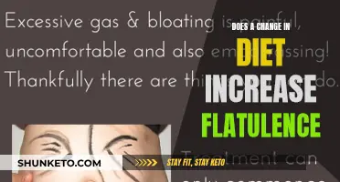 Diet Changes and Flatulence: What's the Connection?