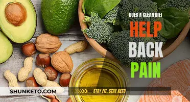 Clean Eating: A Solution for Back Pain?