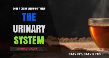 Clear Liquid Diet: A Healthy Urinary System Friend