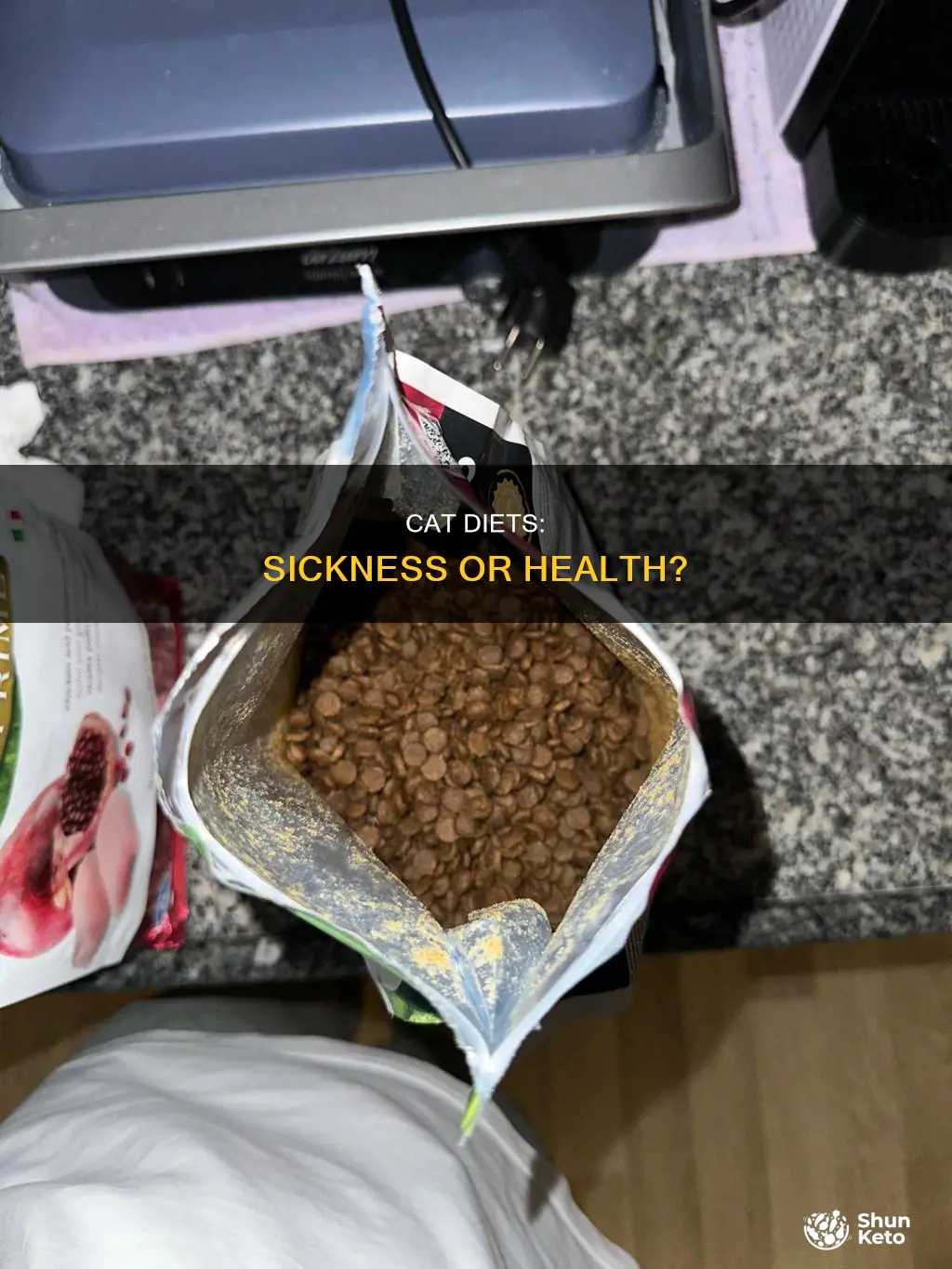does a diet make a cat sick