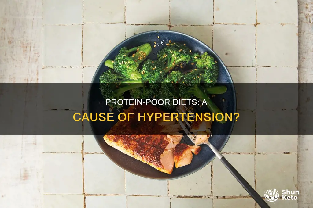 does a diet that lacks protien cause hypertension