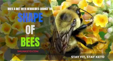 Herbicides in Diet: Impact on Bees' Physical Form?