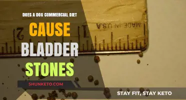 Commercial Diets: Bladder Stones in Dogs?