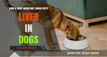 Fruit-Based Diets: A Risk for Canine Fatty Liver?