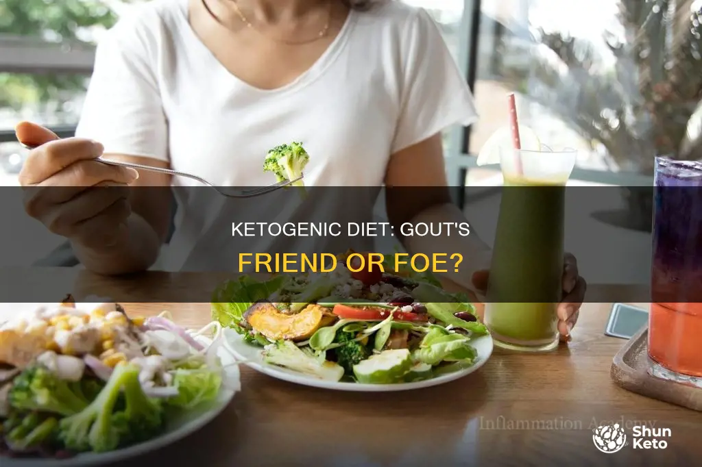 does a ketogenic diet benefit gout