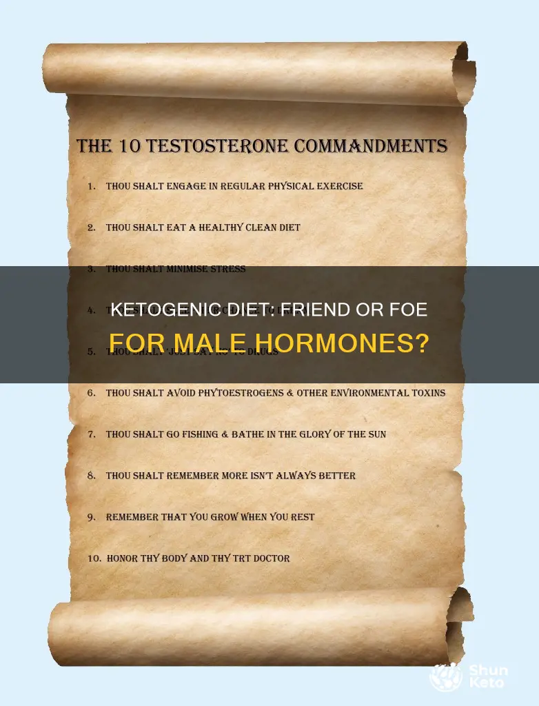 does a ketogenic diet cause hormonal imbalance in men