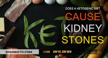 Ketogenic Diet: Kidney Stones Risk Factor?