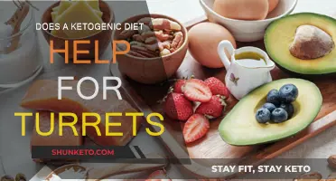 Ketogenic Diet: A Viable Option for Treating Tourette's?