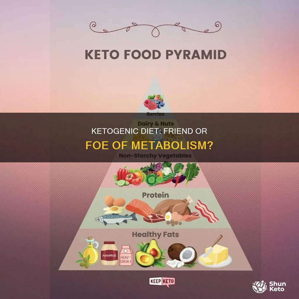 does a ketogenic diet hurt your metabolism