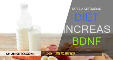 Ketogenic Diet: BDNF Boost or Myth?