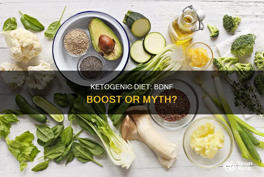 does a ketogenic diet increase bdnf