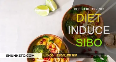 Keto and SIBO: A Dangerous Combination?