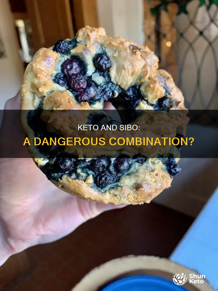does a ketogenic diet induce sibo