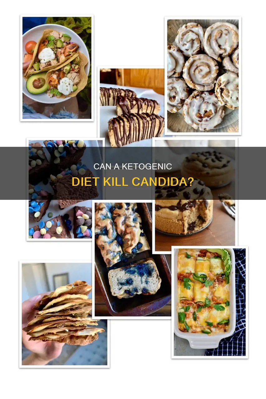 does a ketogenic diet kill candida
