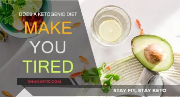 Ketogenic Diet: Energy Boost or Drain?