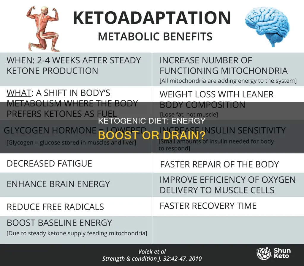 does a ketogenic diet make you tired