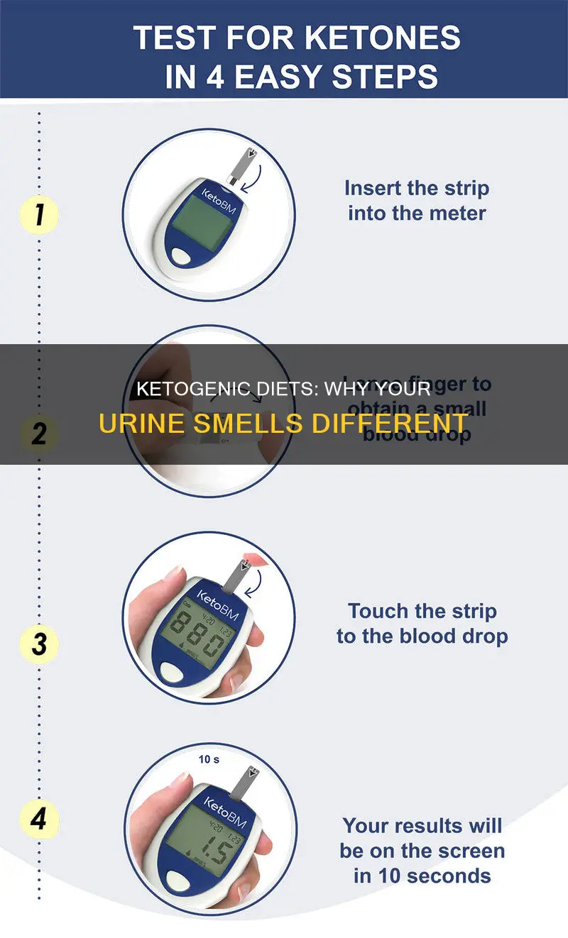 does a ketogenic diet make your urine smell
