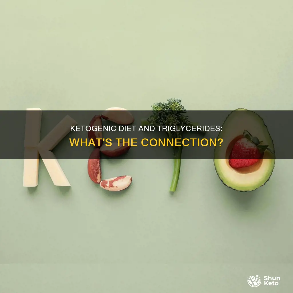 does a ketogenic diet raise triglycerides