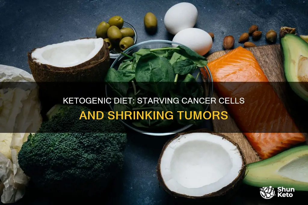 does a ketogenic diet shrink tumors