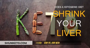 Ketogenic Diet: Can It Reduce Liver Size?