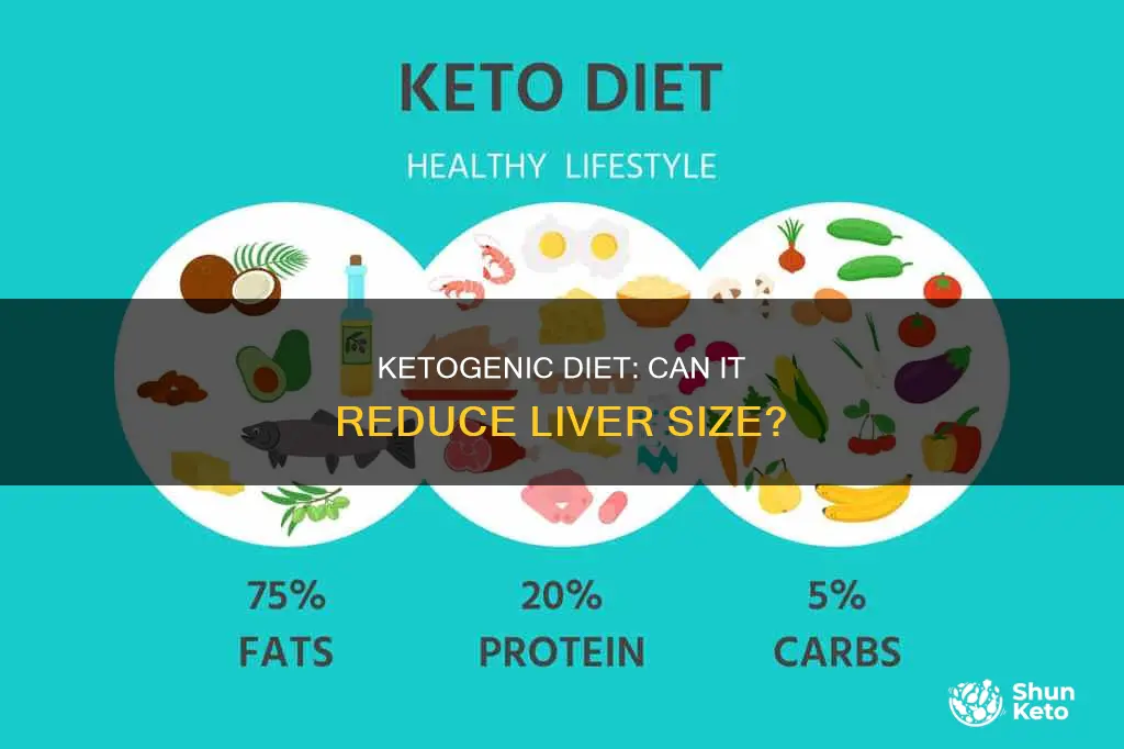 does a ketogenic diet shrink your liver